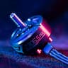 2 pcs Motor