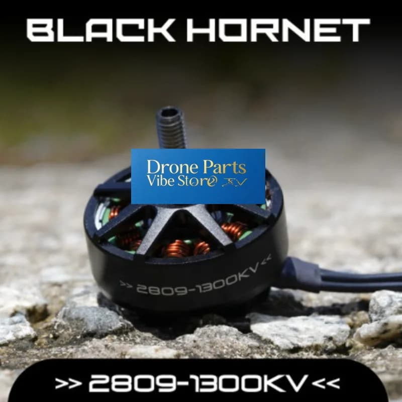 Drone Parts Foxeer Black Hornet 2809 Motor 1300KV 4 6S FPV Racing Drone Brushless For RC Quadcopter 5