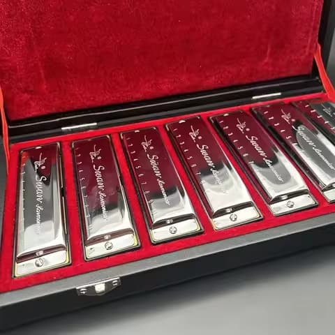7 Pcs/Set Harmonica SWAN Bluesband Blues Harp Diatonic Harmonica Set with Case Wipes