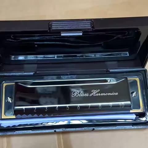 Harmonica Key of C 10 Hole Diatonic Harmonica C with Case for Beginner Students Kids Gift BLUES with case